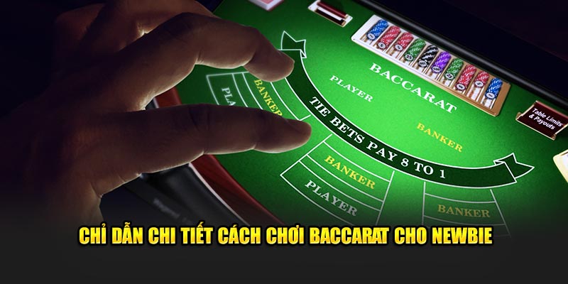 Chỉ dẫn chi tiết cách chơi baccarat cho newbie