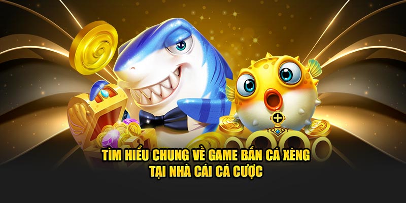 tim-hieu-chung-ve-game-ban-ca-xeng-tai-nha-cai-ca-cuoc